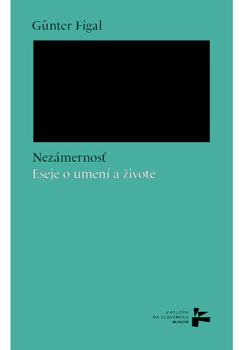 Nezámernosť