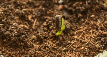 PRESTAŤ OBVIŇOVAŤ, ZAČAŤ ROZLIŠOVAŤ